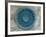 Microscopic View of Diatom-Jim Zuckerman-Framed Photographic Print