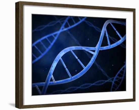 Microscopic View of DNA-Stocktrek Images-Framed Photographic Print