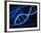 Microscopic View of DNA-Stocktrek Images-Framed Photographic Print