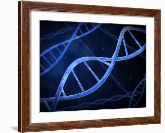 Microscopic View of DNA-Stocktrek Images-Framed Photographic Print