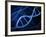 Microscopic View of DNA-Stocktrek Images-Framed Photographic Print