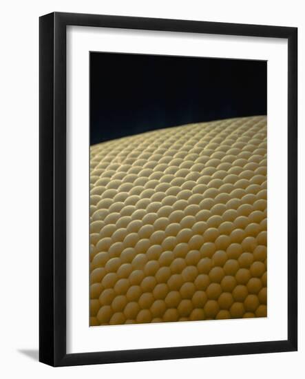 Microscopic View of Eye of Fly-Jim Zuckerman-Framed Photographic Print