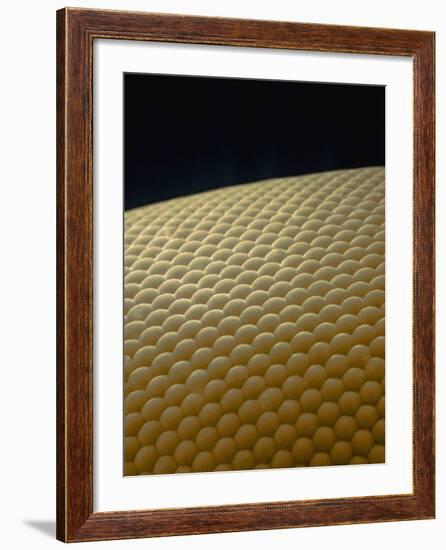 Microscopic View of Eye of Fly-Jim Zuckerman-Framed Photographic Print