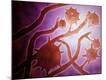 Premium Giclee Print