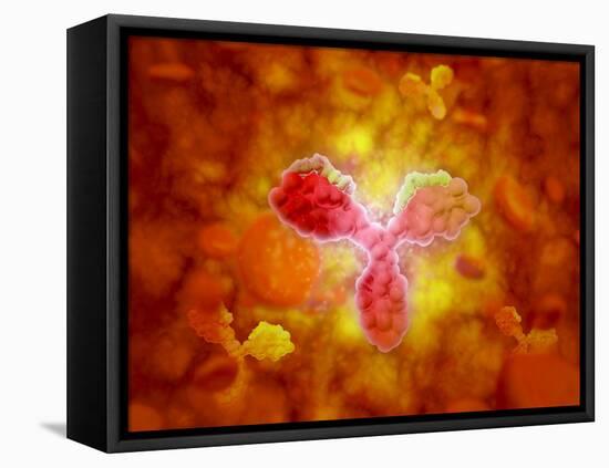 Microscopic View of Human Anitbodies with Red Blood Cells-null-Framed Stretched Canvas