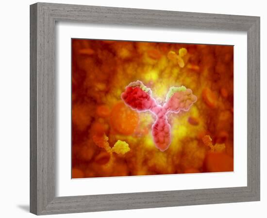 Microscopic View of Human Anitbodies with Red Blood Cells-null-Framed Art Print