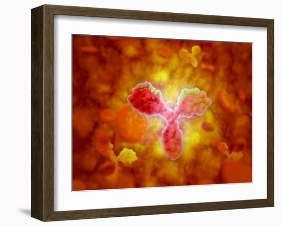 Microscopic View of Human Anitbodies with Red Blood Cells-null-Framed Art Print