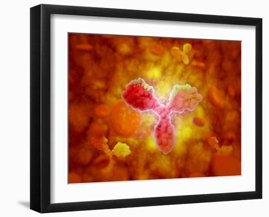 Microscopic View of Human Anitbodies with Red Blood Cells-null-Framed Art Print