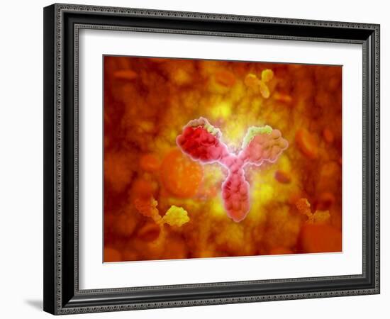 Microscopic View of Human Anitbodies with Red Blood Cells-null-Framed Art Print