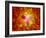 Microscopic View of Human Anitbodies with Red Blood Cells-null-Framed Art Print