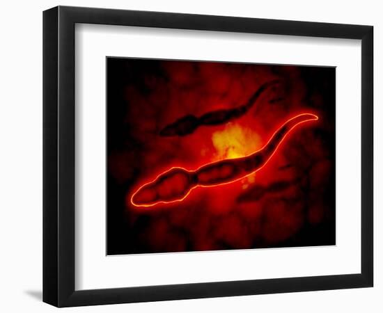 Art Print, , large