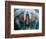 Microscopic View of Moth-Jim Zuckerman-Framed Photographic Print