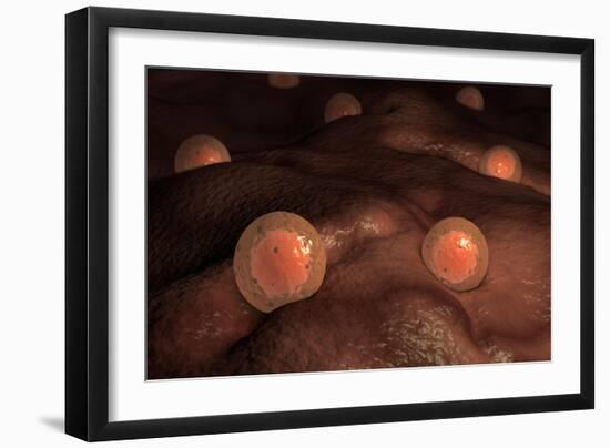 Art Print, , large