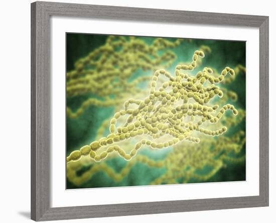 Microscopic View of Penicillium Expansum-null-Framed Art Print