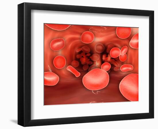 Art Print, , large