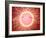 Microscopic View of Sperm Swimming Towards Egg-null-Framed Art Print