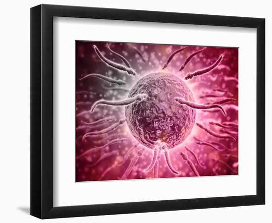 Art Print, , large