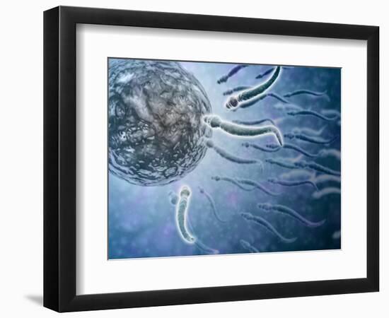 Art Print, , large