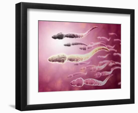 Art Print, , large