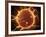 Microscopic View of Sperm Traveling Towards Embryo-Stocktrek Images-Framed Photographic Print