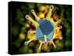 Stretched Canvas Print