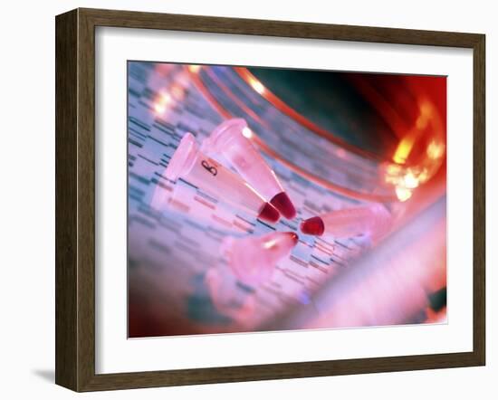 Microtubes Containing DNA on Top of Autoradiogram-Tek Image-Framed Photographic Print