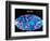 Microwave Map of Whole Sky, C1990S-null-Framed Giclee Print