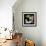 Mid Century Geometric Collage III-Eline Isaksen-Framed Art Print displayed on a wall