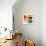 Mid Century Geometric Color Play 4-Ana Rut Bre-Photographic Print displayed on a wall