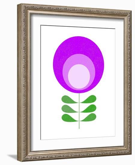 Mid Century Modern Purple Flower III-Anita Nilsson-Framed Art Print