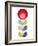 Mid Century Modern Red Flower I-Anita Nilsson-Framed Art Print