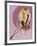 Mid-Century Pin-Ups - Beauty Parade Magazine - Oh! Purple-Peter Driben-Framed Art Print