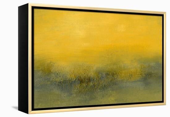 Mid Day II-Sharon Gordon-Framed Stretched Canvas