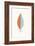 Mid Mod Leaf No. 2-Annie Bailey Art-Framed Art Print