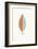 Mid Mod Leaf No. 2-Annie Bailey Art-Framed Art Print