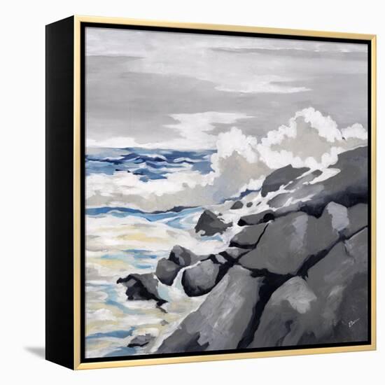 Mid-Morning Coast-Rikki Drotar-Framed Premier Image Canvas