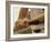 Mid Section View of a Baseball Player Swinging a Baseball Bat-null-Framed Photographic Print