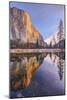 Mid Winter Reflections at El Capitan - Yosemite National Park-Vincent James-Mounted Photographic Print