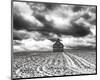 Mid Winter Storm-Trent Foltz-Mounted Art Print