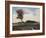 Midafternoon in Madison Valley-Kent Lovelace-Framed Giclee Print