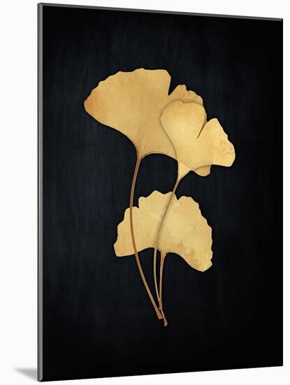 Midas Ginko 2-Marcus Prime-Mounted Art Print