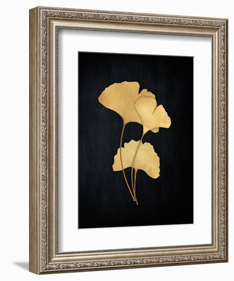 Midas Ginko 2-Marcus Prime-Framed Art Print