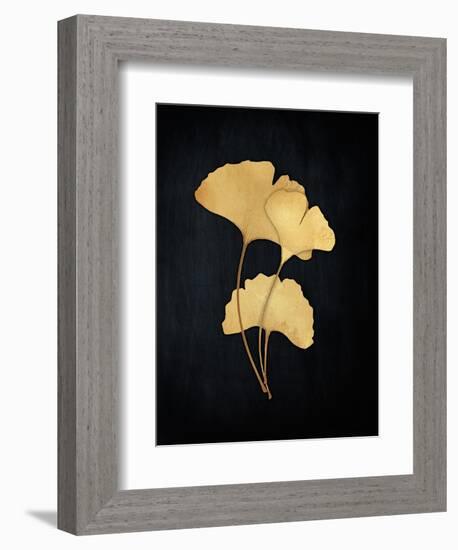 Midas Ginko 2-Marcus Prime-Framed Art Print