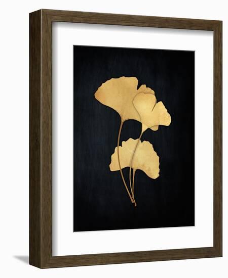 Midas Ginko 2-Marcus Prime-Framed Art Print