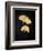 Midas Ginko 2-Marcus Prime-Framed Art Print