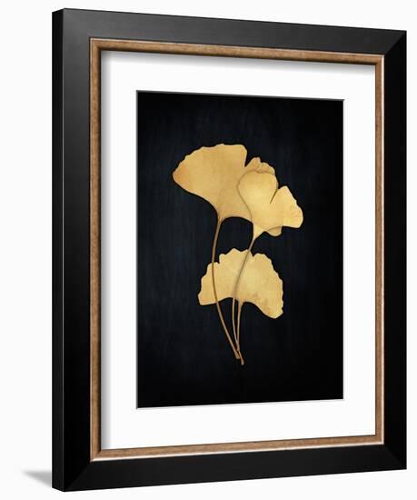 Midas Ginko 2-Marcus Prime-Framed Art Print