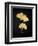 Midas Ginko 2-Marcus Prime-Framed Art Print