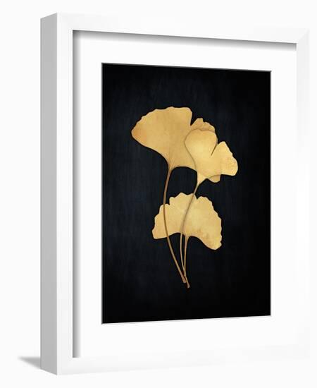 Midas Ginko 2-Marcus Prime-Framed Art Print