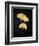 Midas Ginko 2-Marcus Prime-Framed Art Print