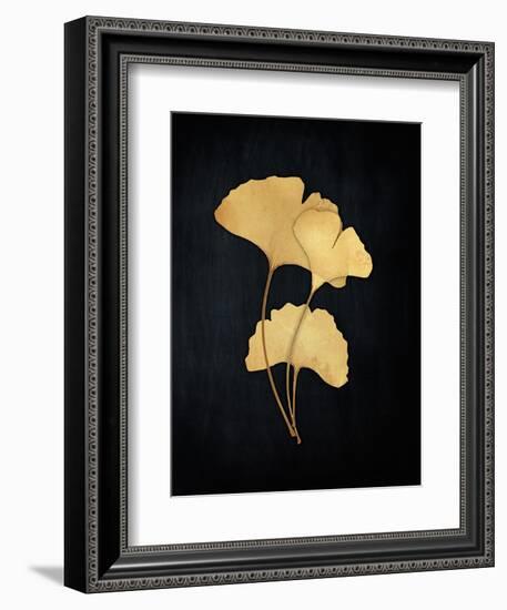 Midas Ginko 2-Marcus Prime-Framed Art Print